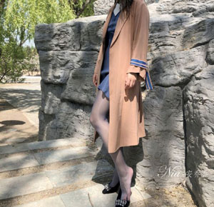 动物感伤的清晨在线观看_BD英语全集免费播放