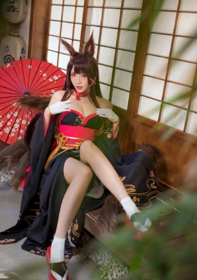 厨神驾到免费观看完整版电视剧_BD高清在线