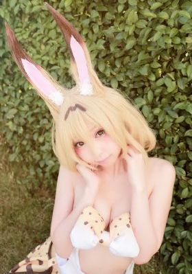画江湖之杯莫停第二季_720免费观看最新
