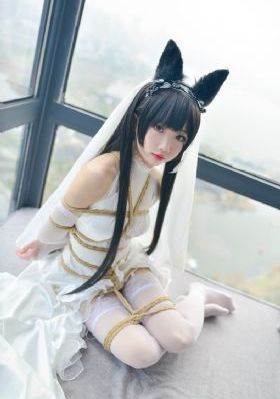 风流岛tv_续集欧美成人在线