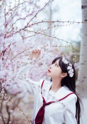 大侦探第九季免费观看完整版高清_成人在线观看免费